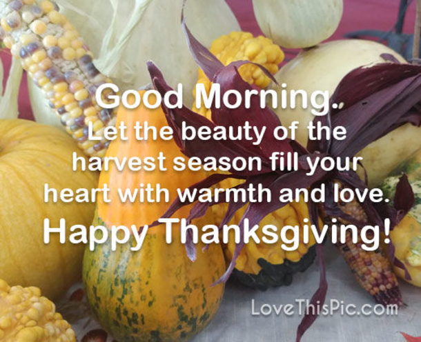 10 Good Morning Thanksgiving Quotes With Images For 2022 - picture 11