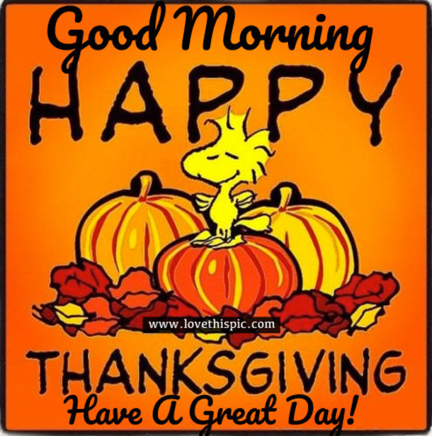 10 Good Morning Thanksgiving Wishes, Greetings & Quotes - picture 11