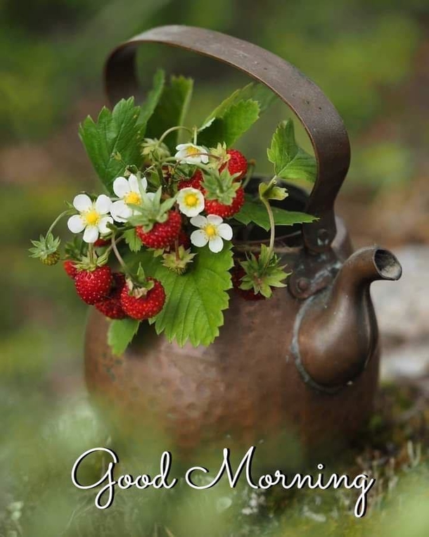 10 Good Morning Thoughts, Quotes Sayings To Get You Through A Good Week - picture 2