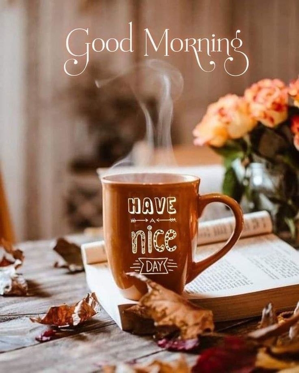 10 Good Morning Thoughts, Quotes Sayings To Get You Through A Good Week - picture 5