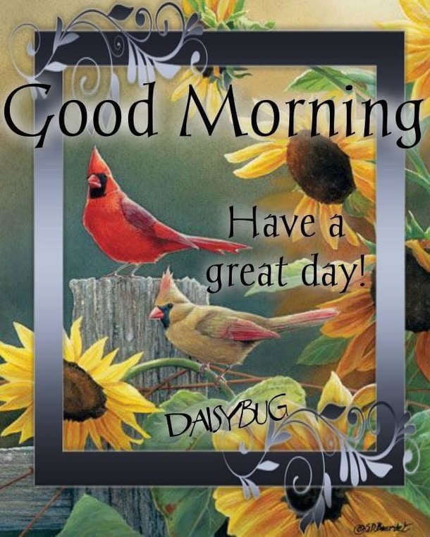 10 Good Morning Thoughts, Quotes Sayings To Get You Through A Good Week - picture 6