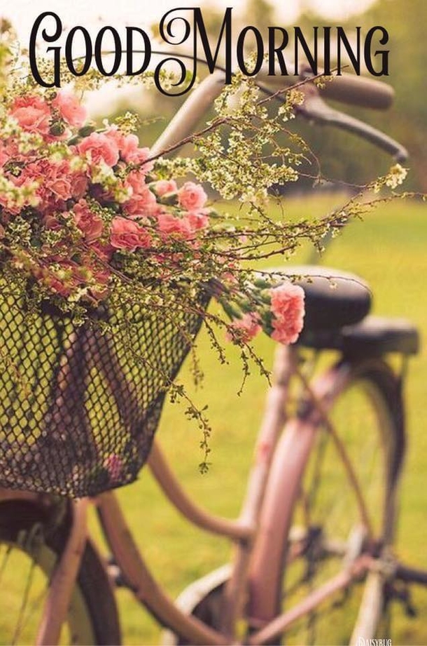 10 Good Morning Thoughts, Quotes Sayings To Get You Through A Good Week - picture 8