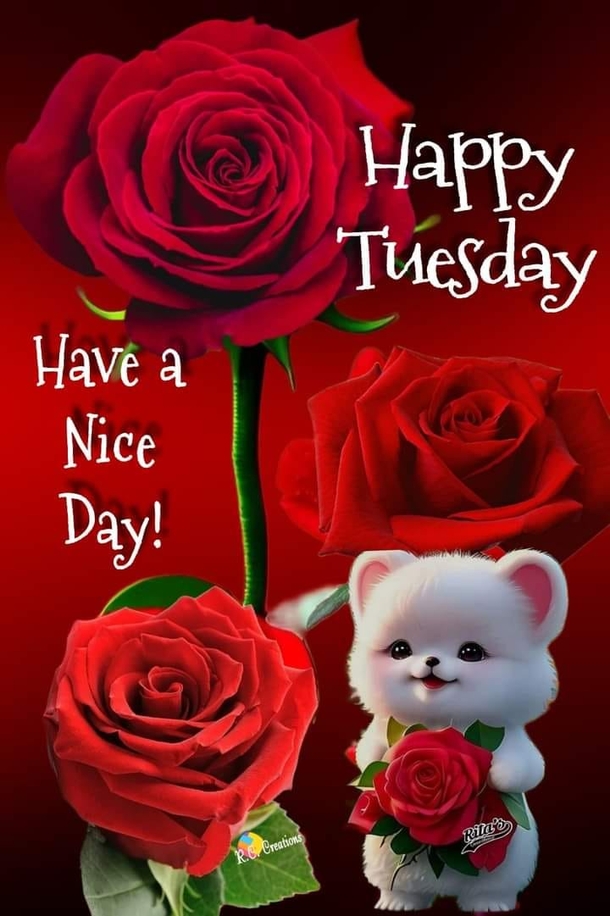 10 Good Morning Tuesday Pictures With Inspiring Quotes That You'll Love - picture 11
