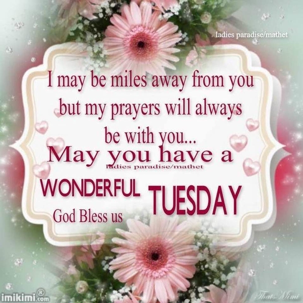 10 Good Morning Tuesday Pictures With Inspiring Quotes That You'll Love - picture 12