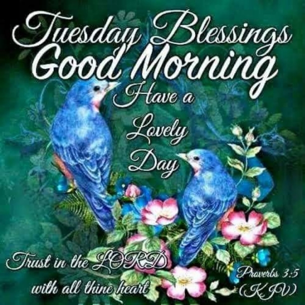 10 Good Morning Tuesday Pictures With Inspiring Quotes That You'll Love - picture 2