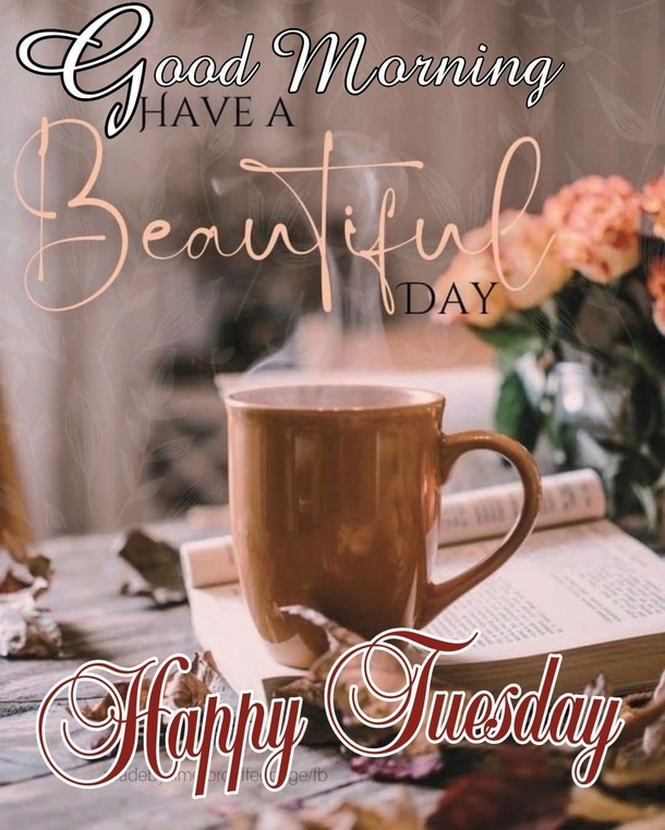 10 Good Morning Tuesday Pictures With Inspiring Quotes That You'll Love - picture 9