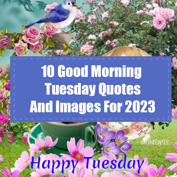 10 Good Morning Tuesday Quotes And Images For 2023
