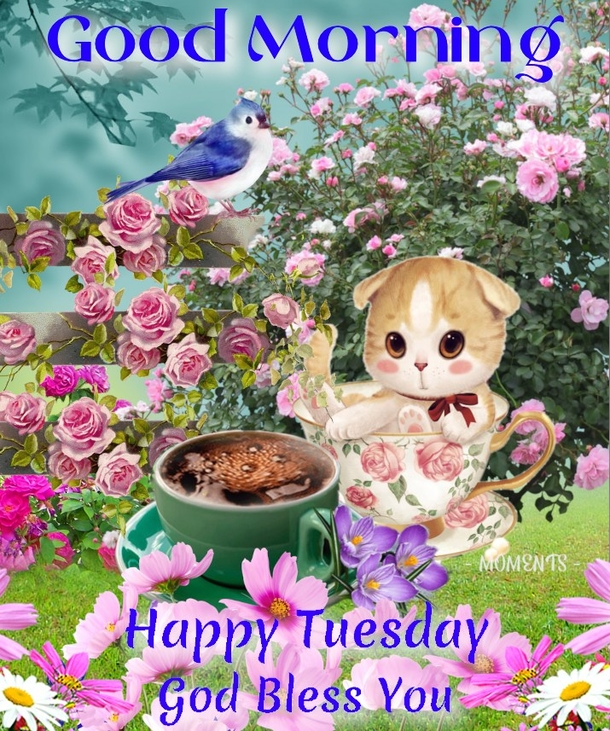 10 Good Morning Tuesday Quotes And Images For 2023 - picture 10