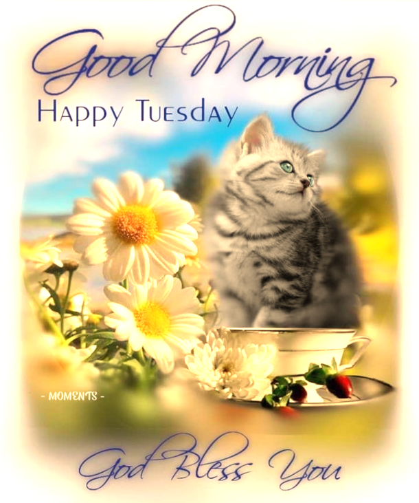 10 Good Morning Tuesday Quotes And Images For 2023 - picture 2