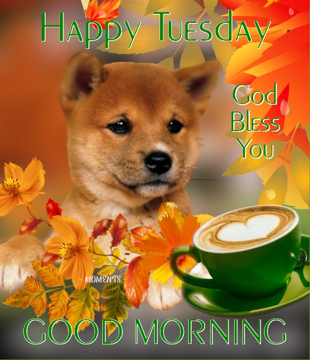 10 Good Morning Tuesday Quotes And Images For 2023 - picture 4