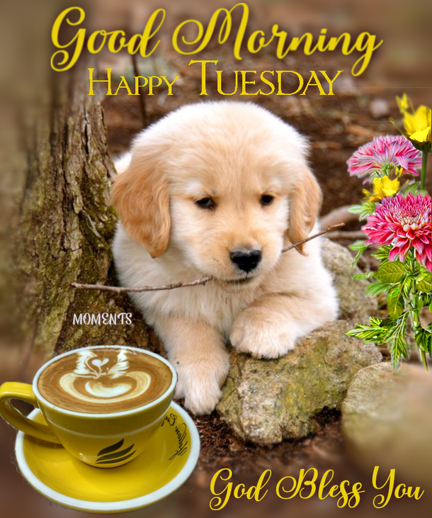 10 Good Morning Tuesday Quotes And Images For 2023 - picture 5