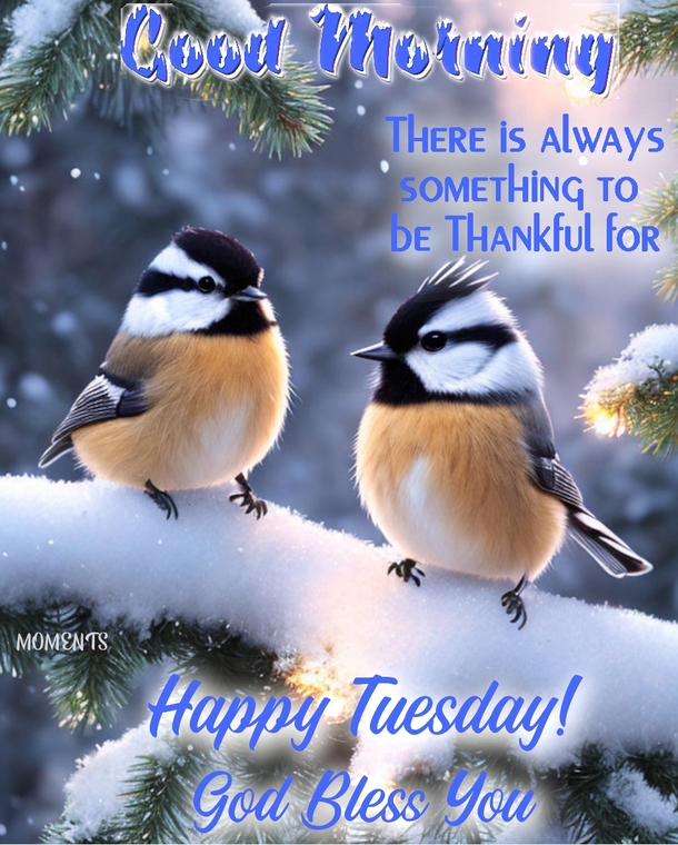 10 Good Morning Tuesday Quotes And Images For 2023 - picture 6