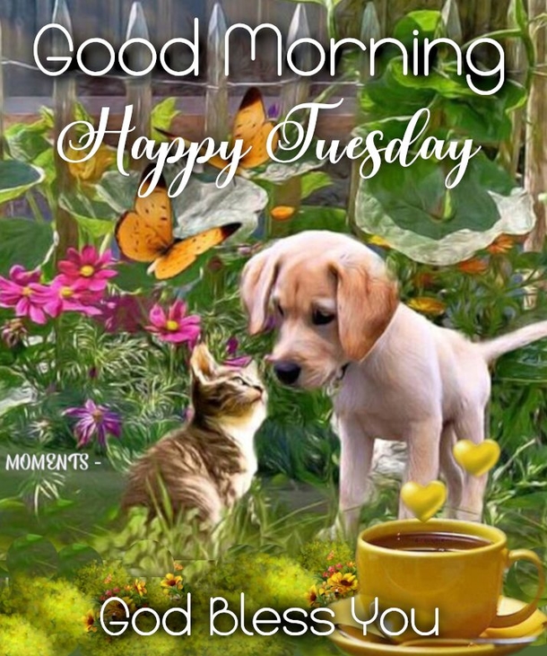 10 Good Morning Tuesday Quotes And Images For 2023 - picture 7