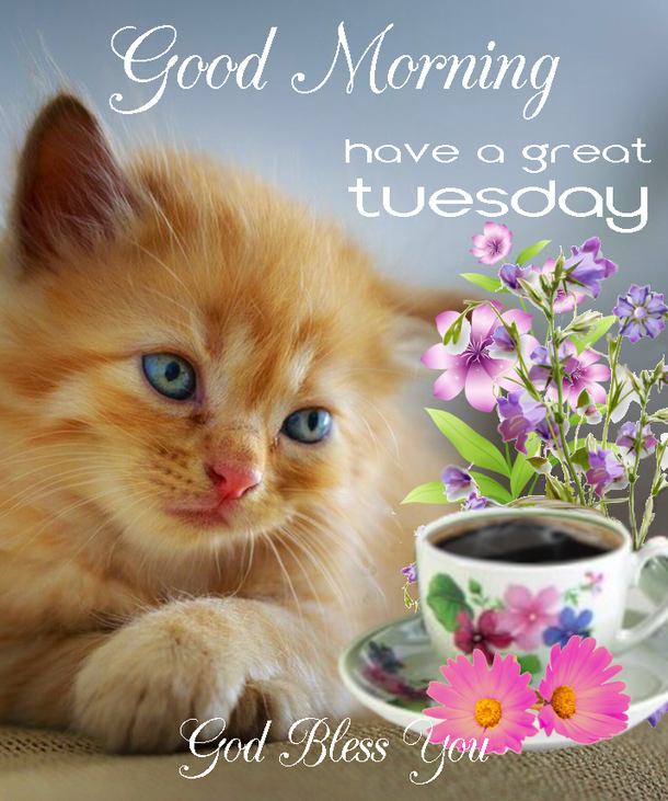 10 Good Morning Tuesday Quotes And Images For 2023 - picture 8