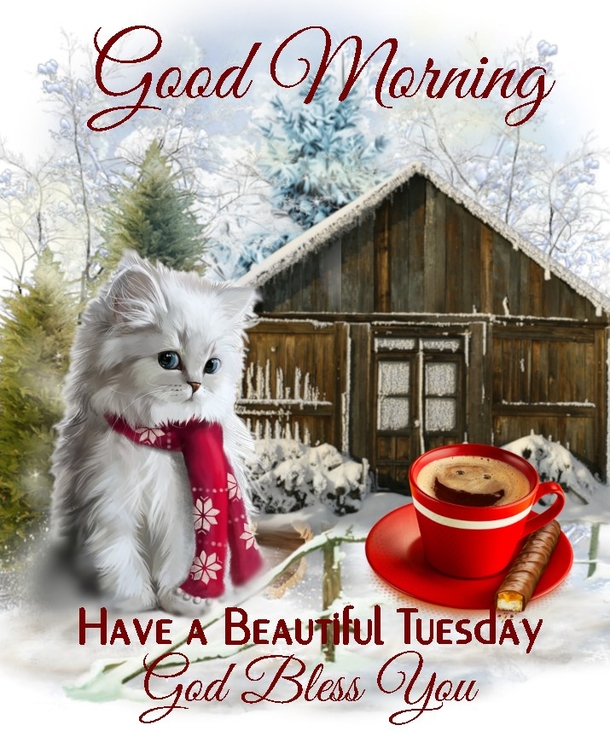 10 Good Morning Tuesday Quotes And Images For 2023 - picture 9