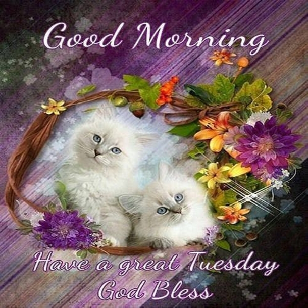 10 Good Morning Tuesday Wishes To Bless Your Day - picture 12