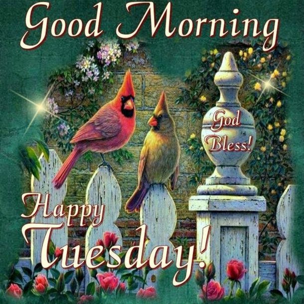 10 Good Morning Tuesday Wishes To Bless Your Day - picture 5