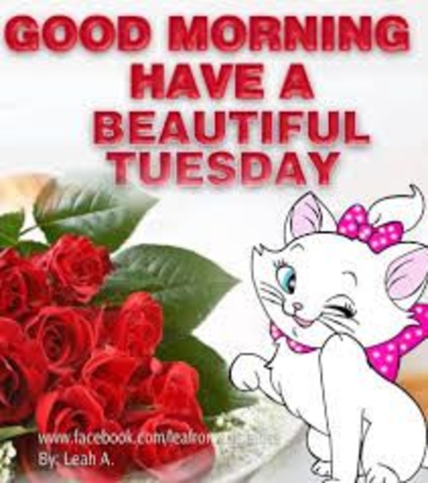10 Good Morning Tuesday Wishes To Bless Your Day - picture 6