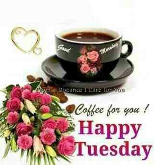 10 Good Morning Tuesday Wishes To Bless Your Day - picture 8