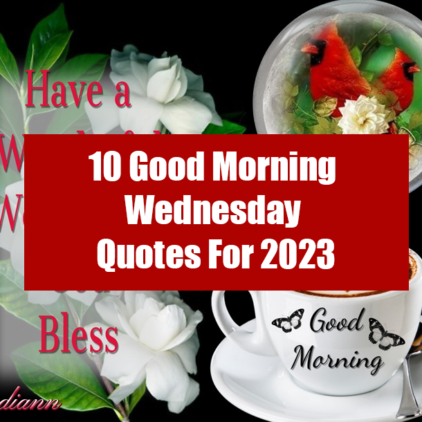 10 Good Morning Wednesday Quotes For 2023