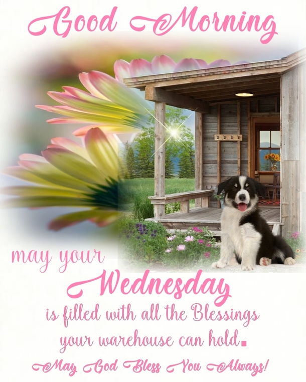 10 Good Morning Wednesday Quotes That Are Beautiful & Inspiring - picture 10