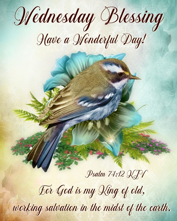 10 Good Morning Wednesday Quotes That Are Beautiful & Inspiring - picture 11