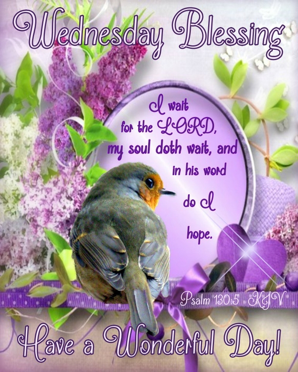 10 Good Morning Wednesday Quotes That Are Beautiful & Inspiring - picture 12