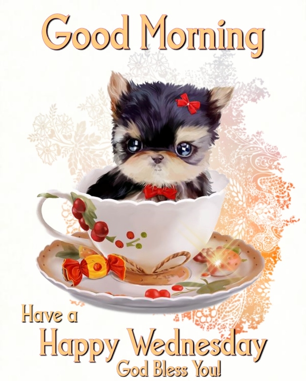 10 Good Morning Wednesday Quotes That Are Beautiful & Inspiring - picture 7