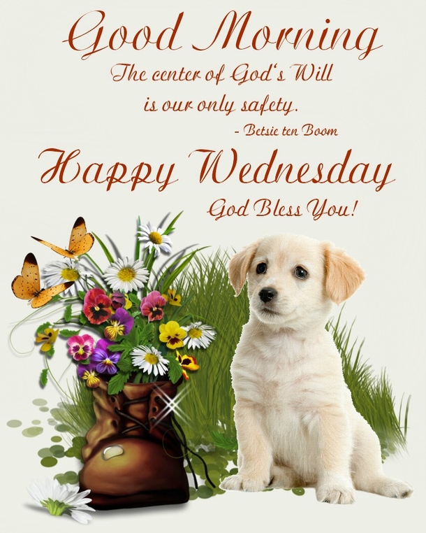 10 Good Morning Wednesday Quotes That Are Beautiful & Inspiring - picture 9
