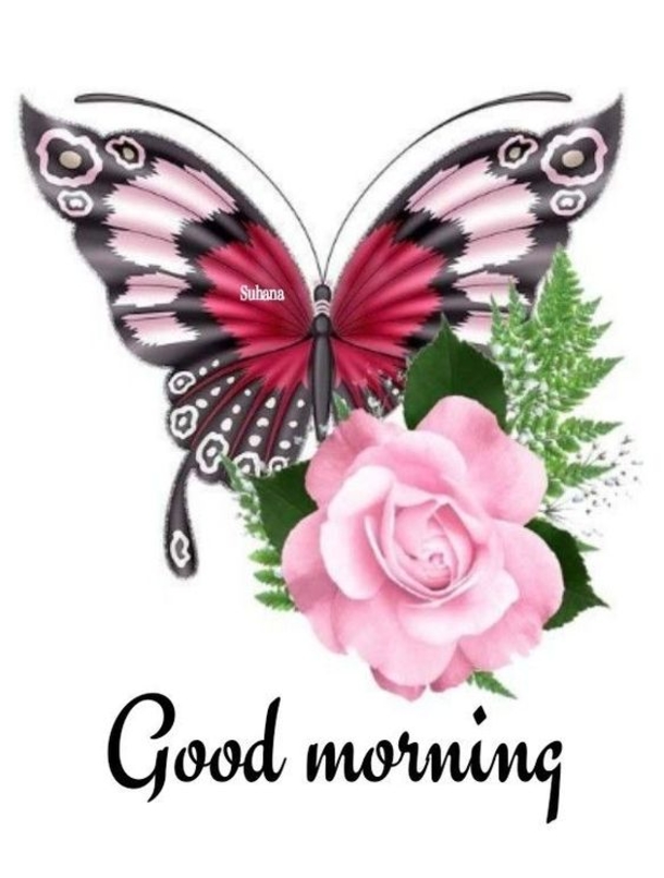 10 Good Morning Wishes To Start A Fresh New Day - picture 4