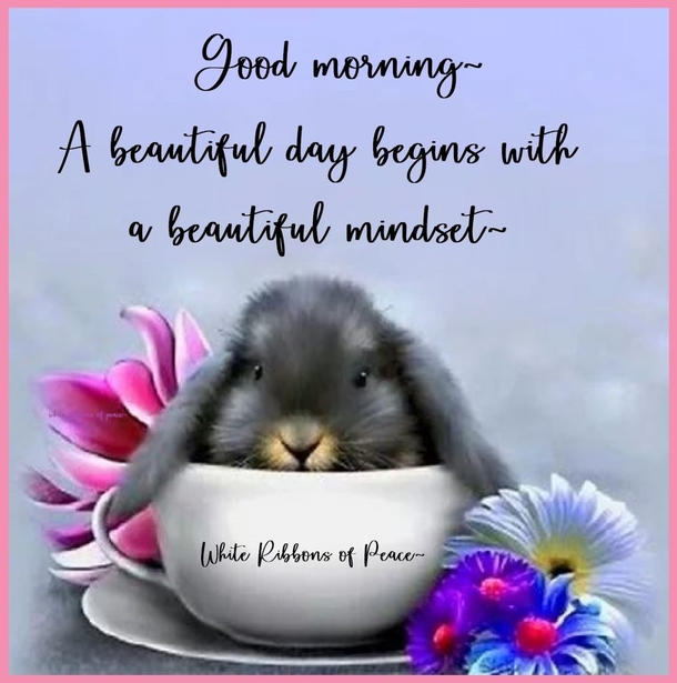 10 Good Morning Wishes & Images With Positive, Beautiful Words - picture 10