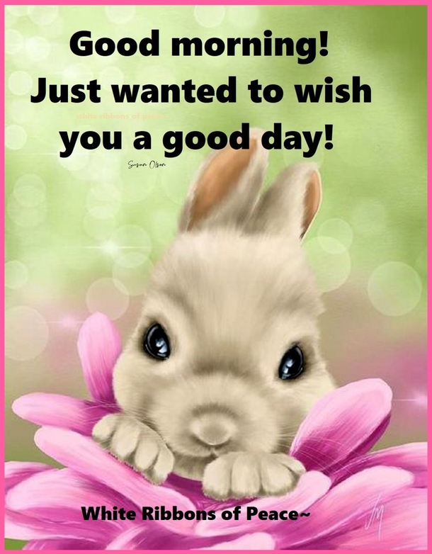 10 Good Morning Wishes & Images With Positive, Beautiful Words - picture 8