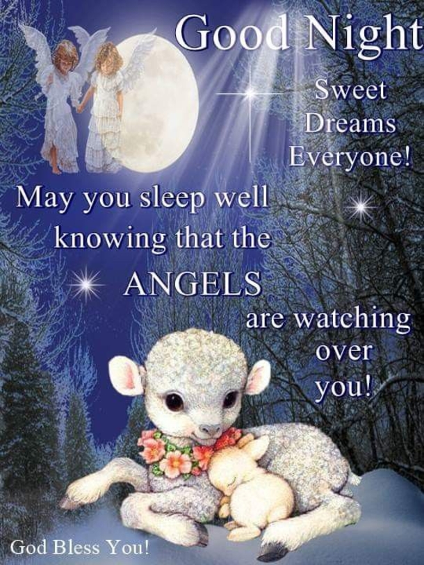10 Good Night Animated Messages & Greetings - picture 10