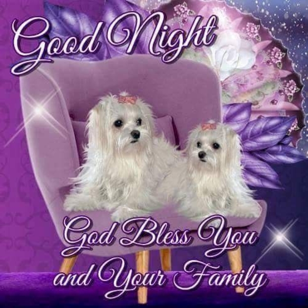 10 Good Night Animated Messages & Greetings - picture 8