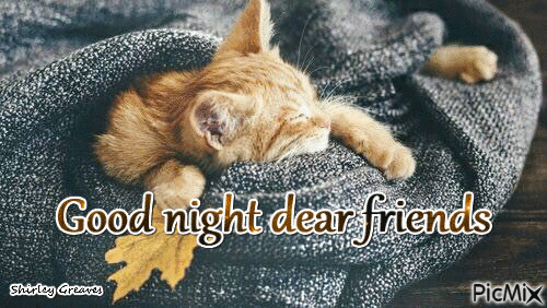 10 Good Night Gifs To Share With Your Friends - picture 12
