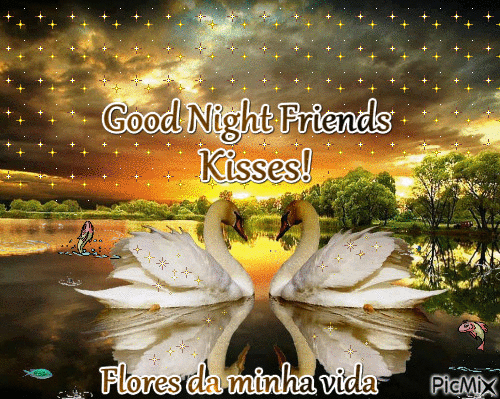 10 Good Night Gifs To Share With Your Friends - picture 2