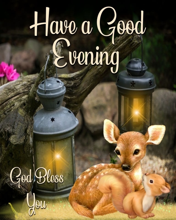 10 Good Night / Good Evening Pictures With Quotes For Family And Friends - picture 11