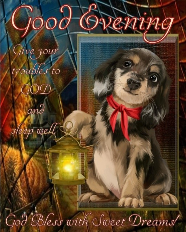 10 Good Night / Good Evening Pictures With Quotes For Family And Friends - picture 6