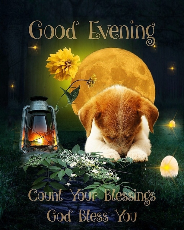 10 Good Night / Good Evening Pictures With Quotes For Family And Friends - picture 8