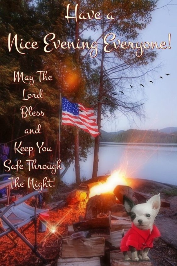 10 Good Night / Good Evening Pictures With Quotes For Family And Friends - picture 9