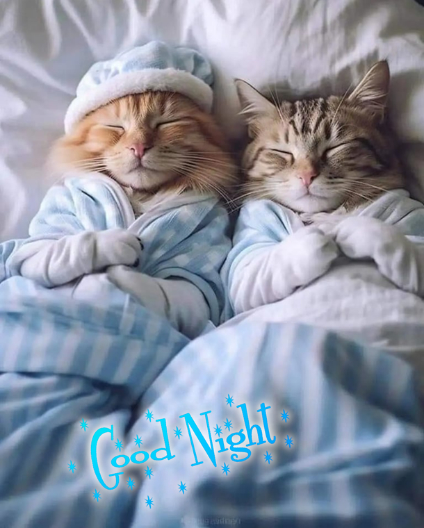 10 Good Night Images And Picture Blessings For The Night - picture 10