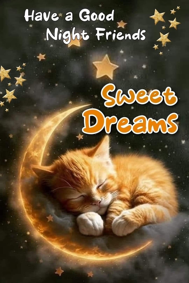10 Good Night Images And Picture Blessings For The Night - picture 11