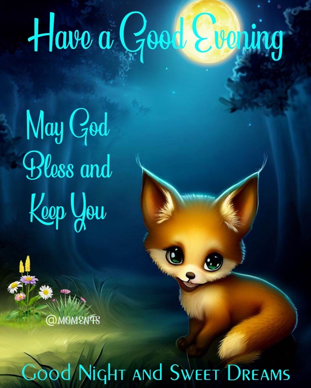 10 Good Night Images And Picture Blessings For The Night - picture 9