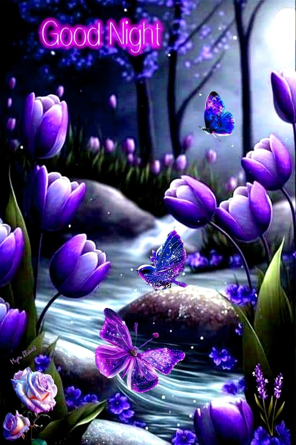 10 Good Night Images For Him And Her That Are So Beautiful - picture 6