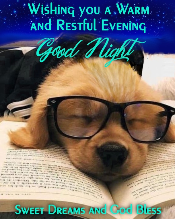 10 Good Night Images With Love & Blessings - picture 10
