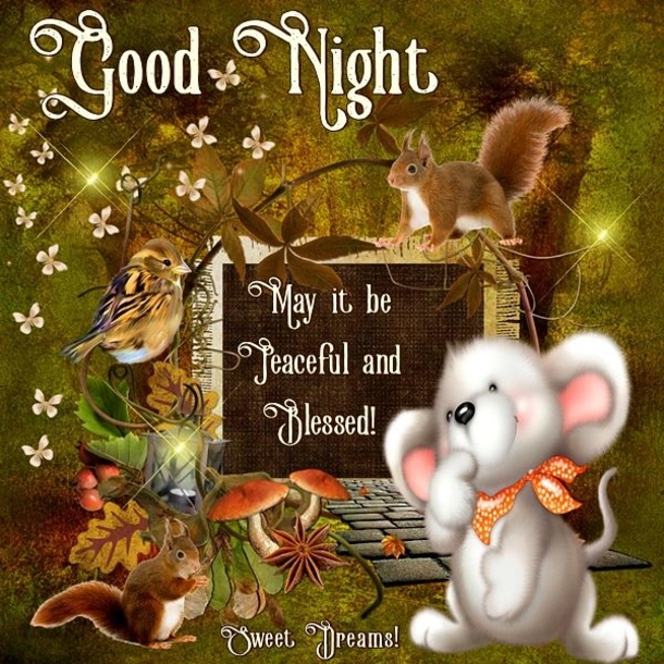 10 Good Night Message To Share with Friends and Family 2023 - picture 12