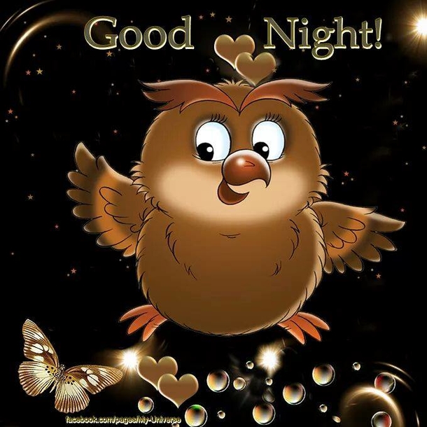 10 Good Night Message To Share with Friends and Family 2023 - picture 13