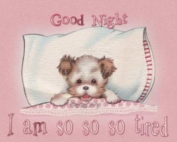 10 Good Night Message To Share with Friends and Family 2023 - picture 2