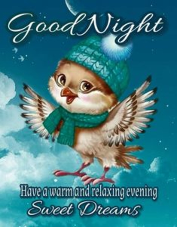 10 Good Night Message To Share with Friends and Family 2023 - picture 4