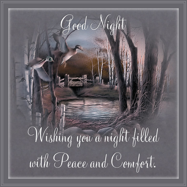 10 Good Night Message To Share with Friends and Family 2023 - picture 7